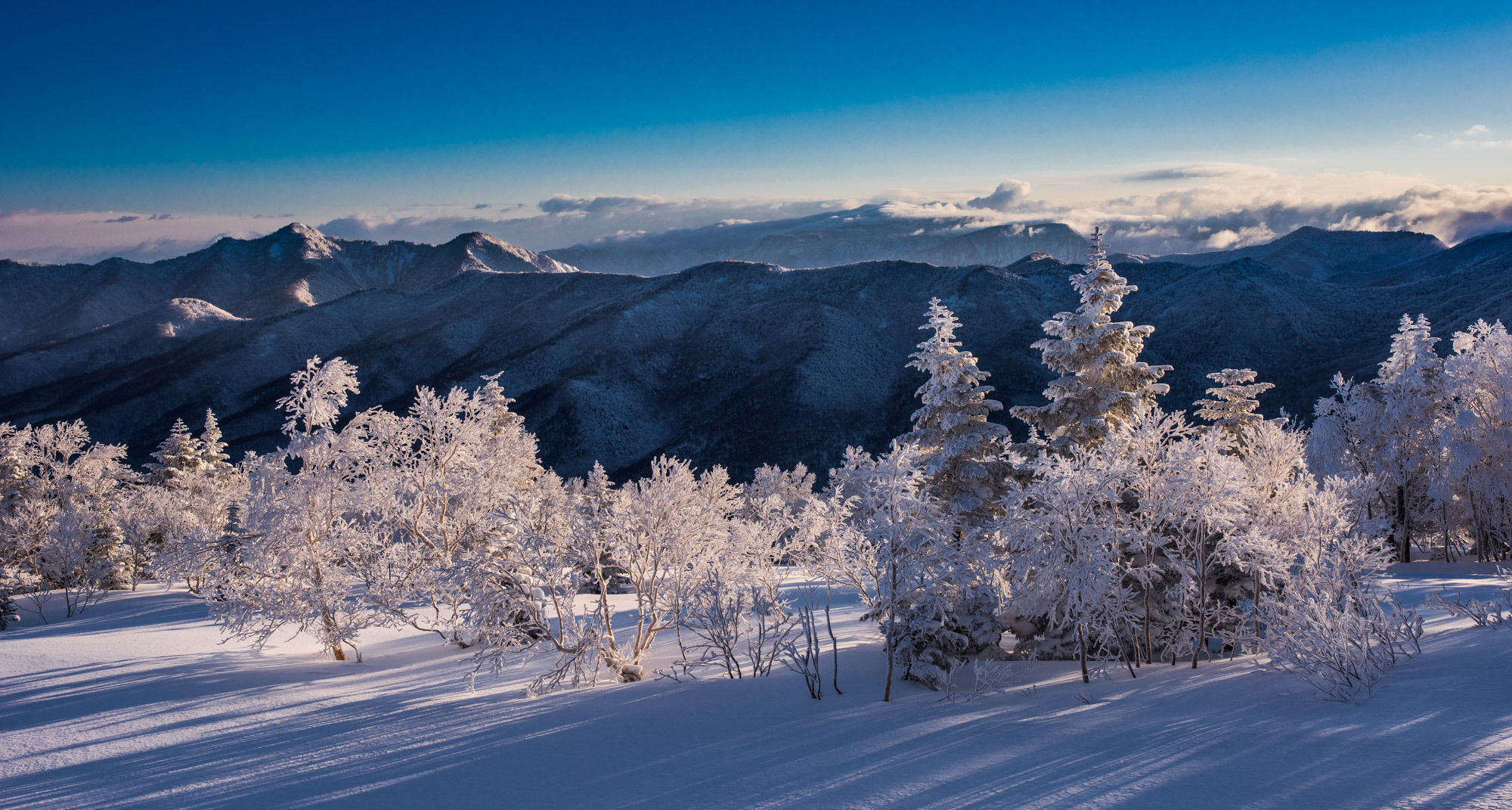 Okushiga Kogen Hotel Yamanouchi  Zewnętrze zdjęcie