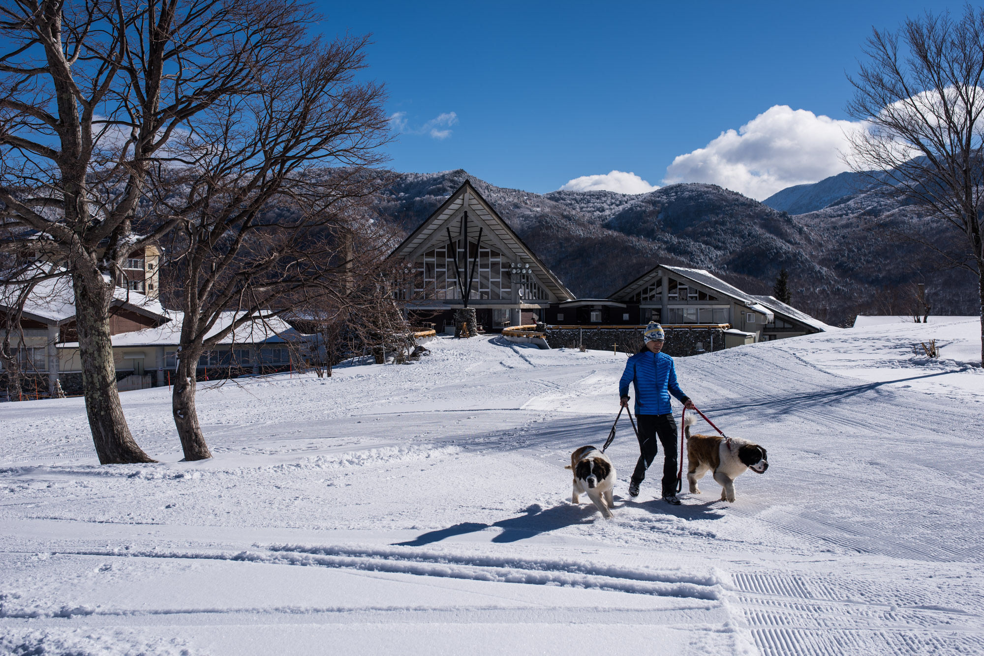 Okushiga Kogen Hotel Yamanouchi  Zewnętrze zdjęcie